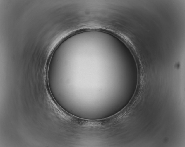 X0000116391183200912161517