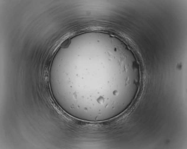 X0000116391185200912161517