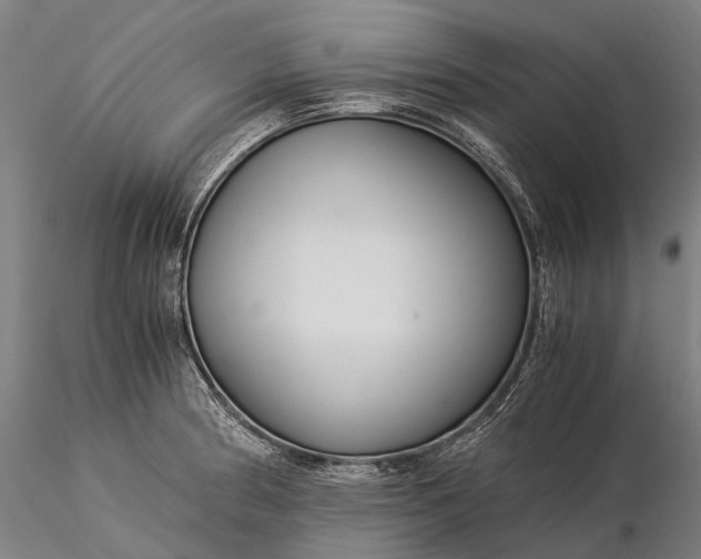 X0000116391186200912161517