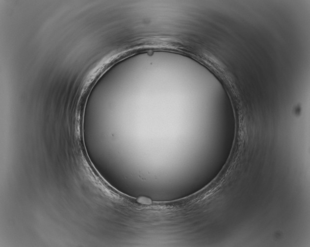 X0000116391188200912161517