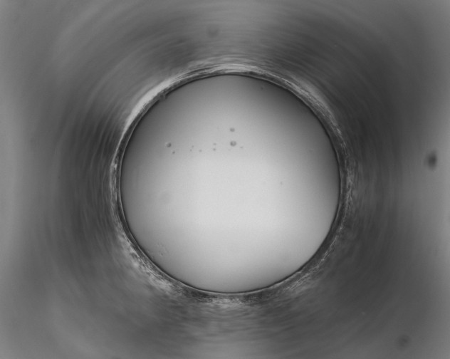 X0000116391190200912161517