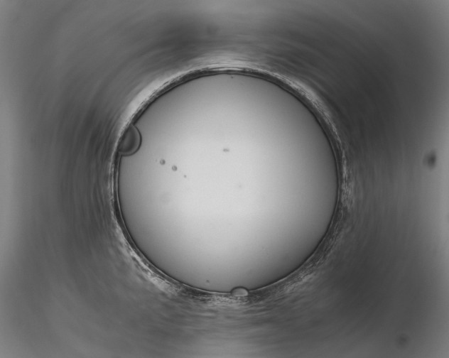 X0000116391191200912161517