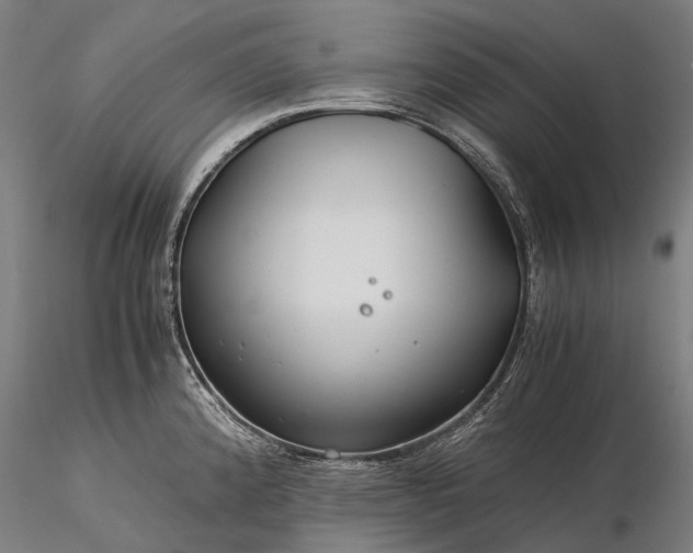 X0000116391192200912161517