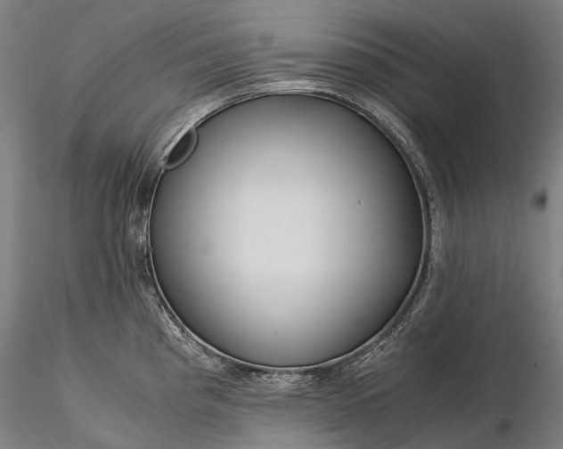 X0000116391193200912161517