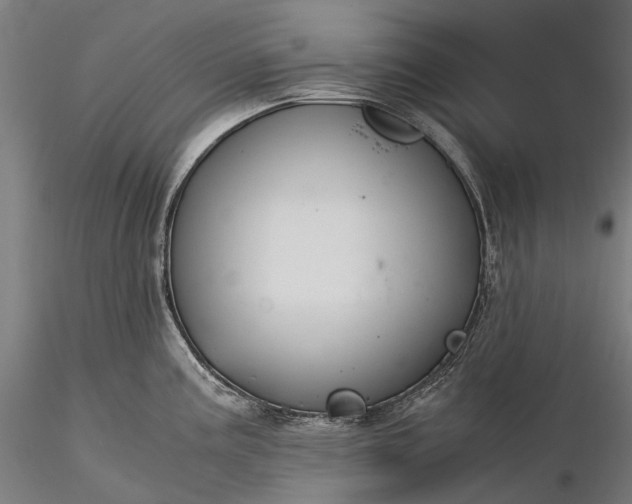 X0000116391195200912161517