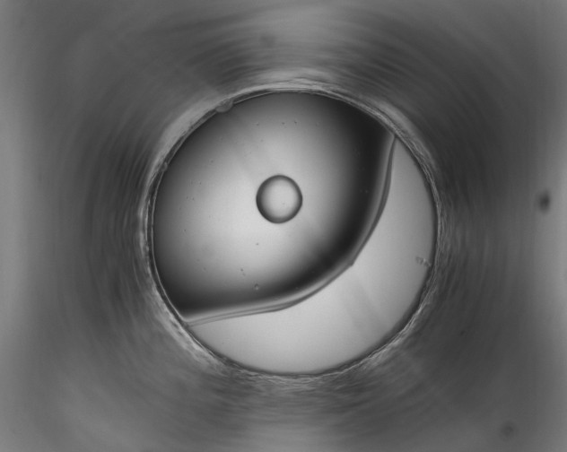 X0000116391196200912161517