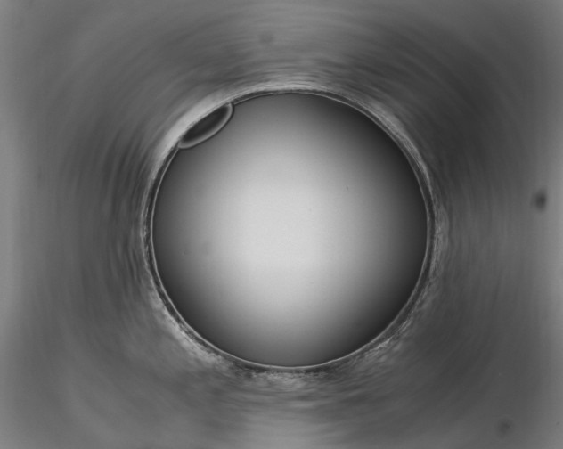 X0000116391197200912161517