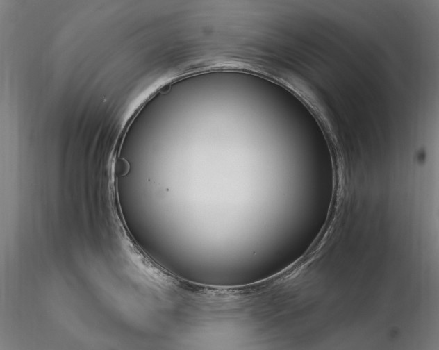 X0000116391198200912161517