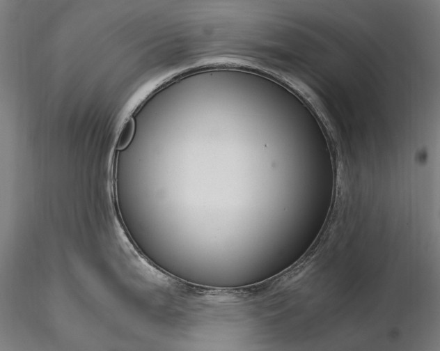 X0000116391199200912161517