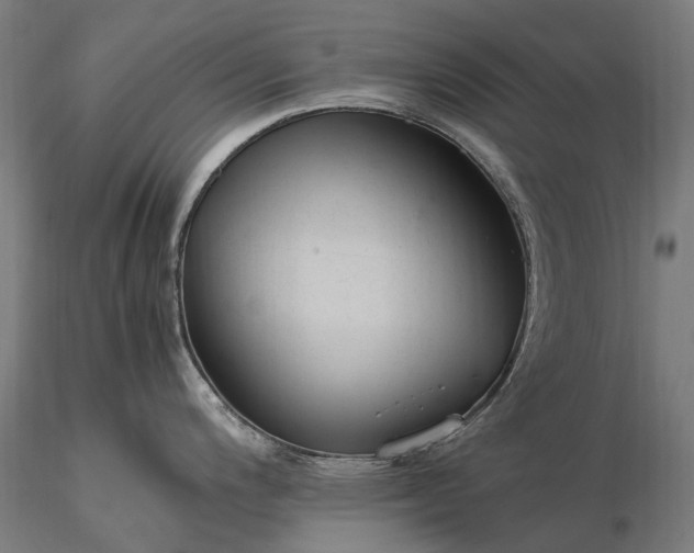 X0000116391200200912161517