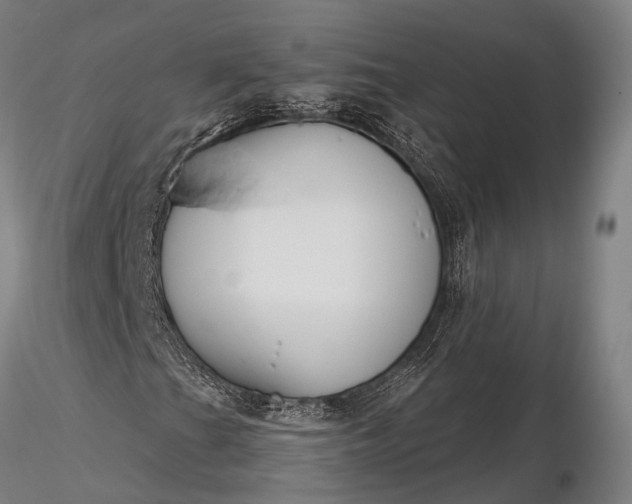 X0000116391201200912161516