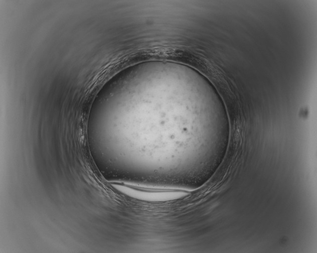 X0000116391202200912161516