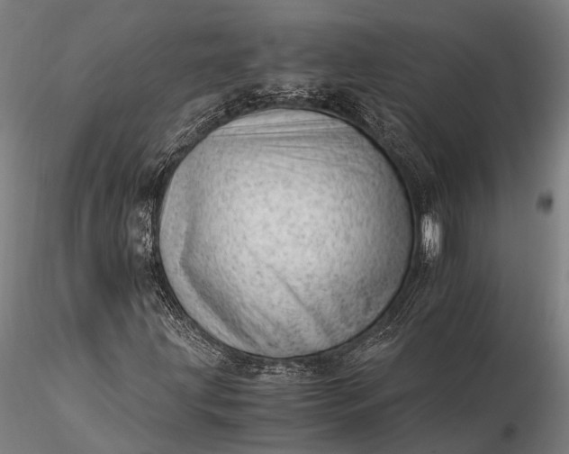 X0000116391203200912161516