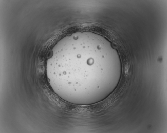 X0000116391204200912161516
