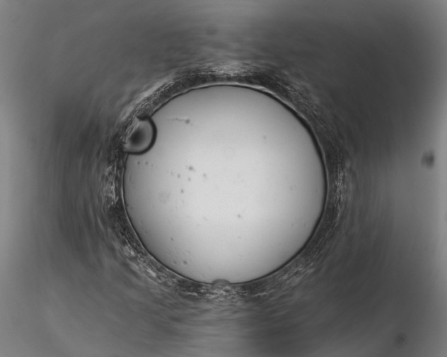 X0000116391205200912161516