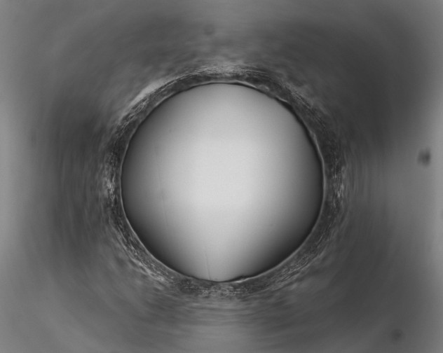 X0000116391206200912161516