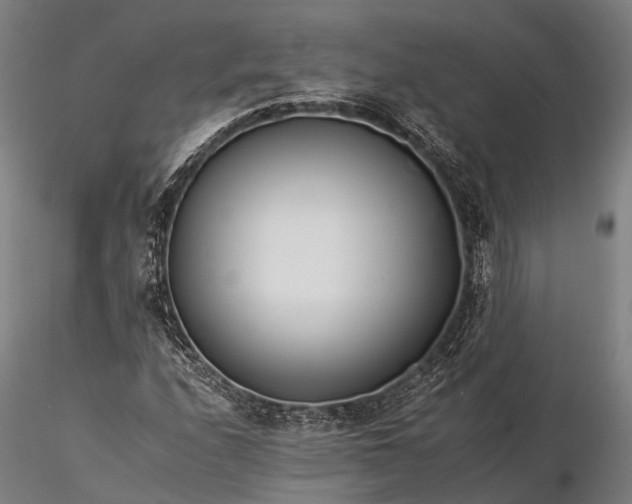 X0000116391208200912161516