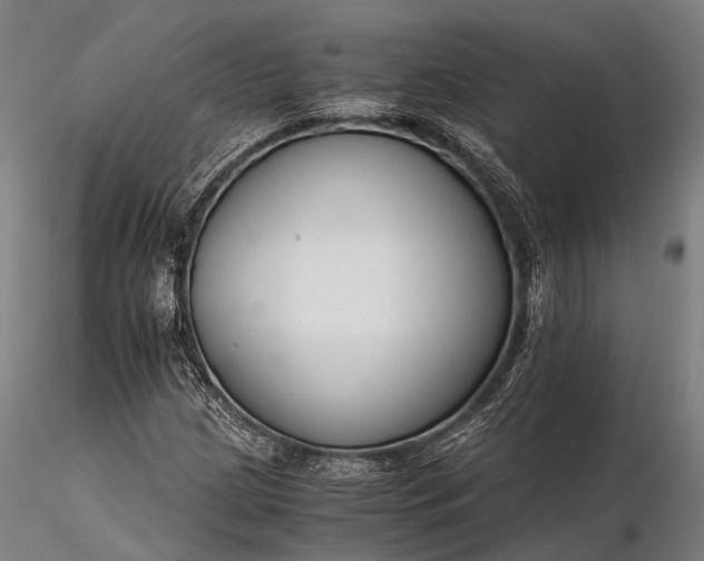 X0000116391209200912161516