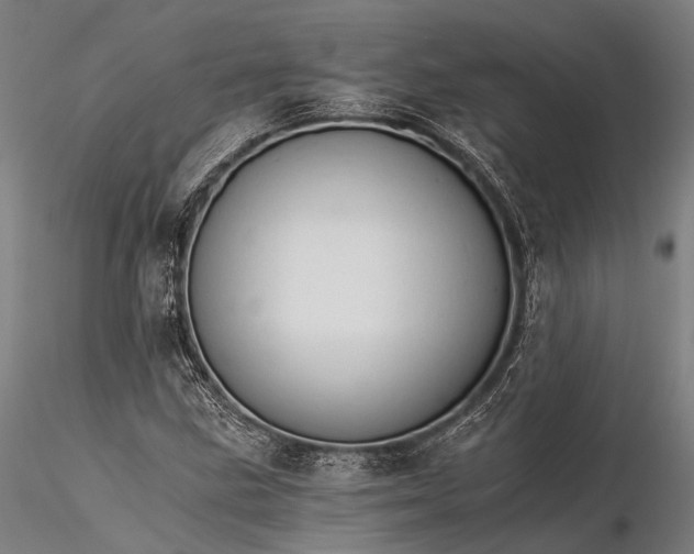 X0000116391211200912161516