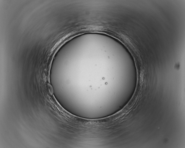X0000116391212200912161516
