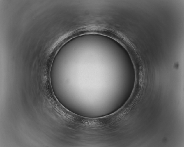 X0000116391213200912161516