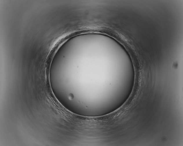 X0000116391214200912161516