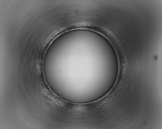 X0000116391217200912161516