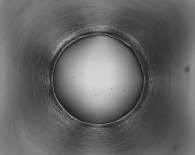 X0000116391218200912161516