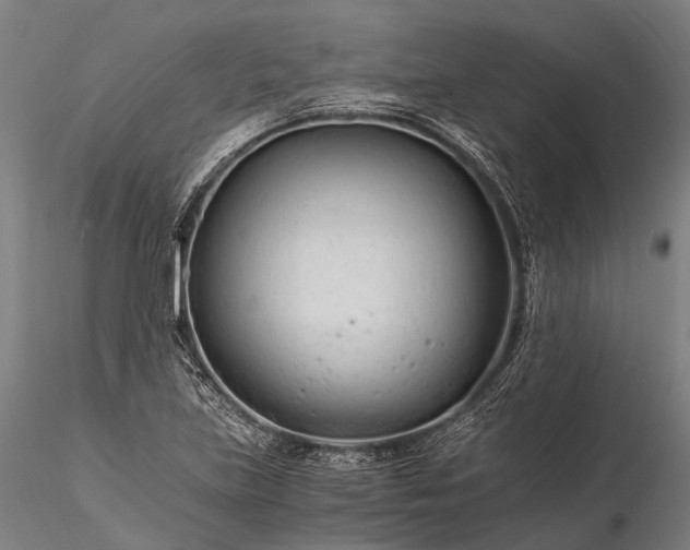 X0000116391219200912161516