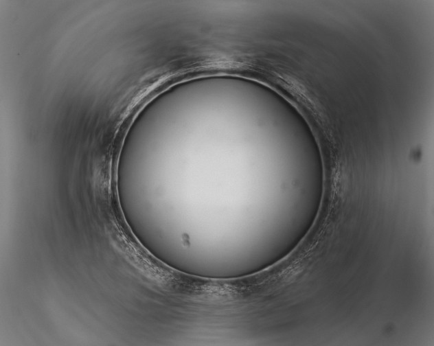 X0000116391220200912161516