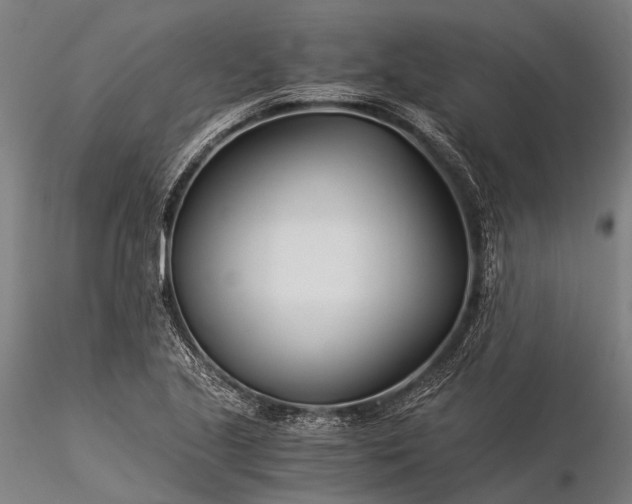X0000116391221200912161516