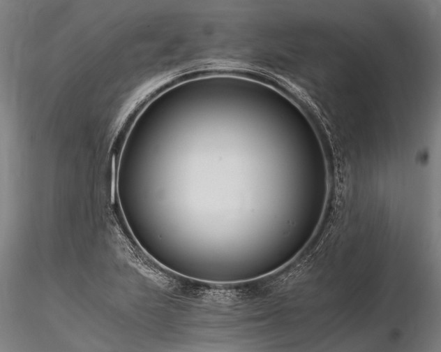 X0000116391223200912161516