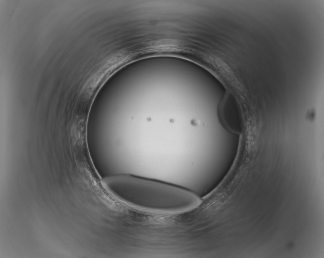 X0000116391225200912161516