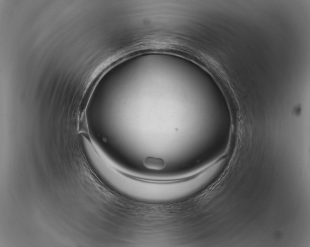 X0000116391226200912161516