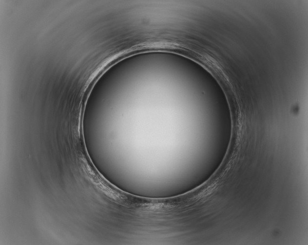 X0000116391228200912161516