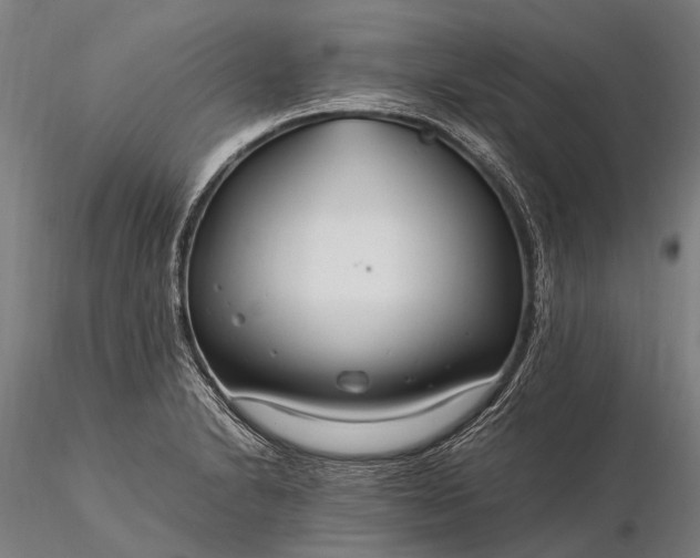 X0000116391230200912161516