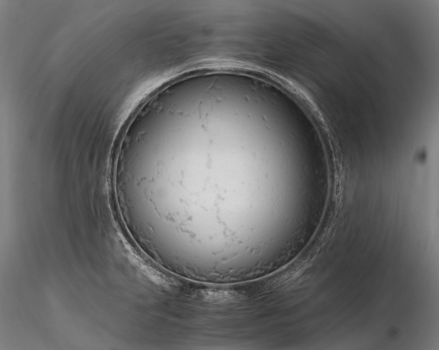 X0000116391231200912161517