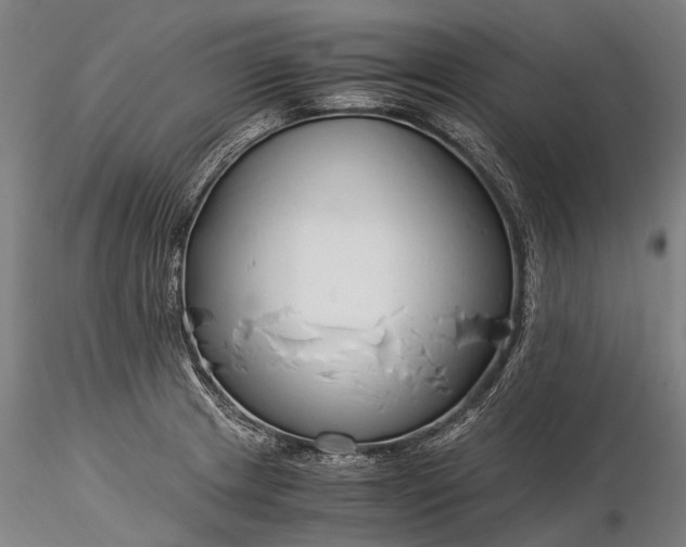 X0000116391233200912161517