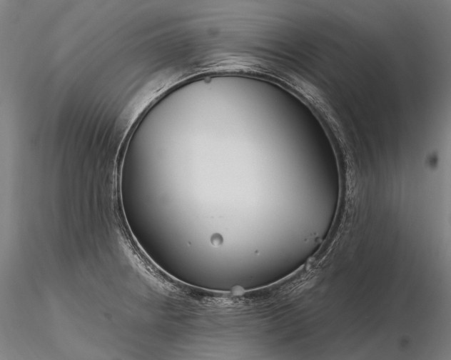 X0000116391234200912161517