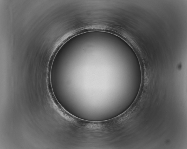 X0000116391237200912161517