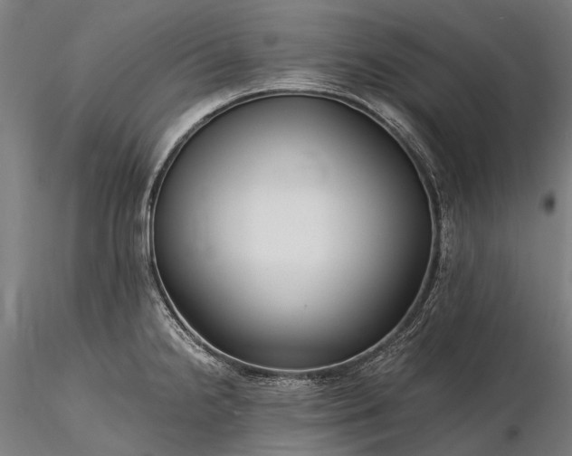 X0000116391238200912161517