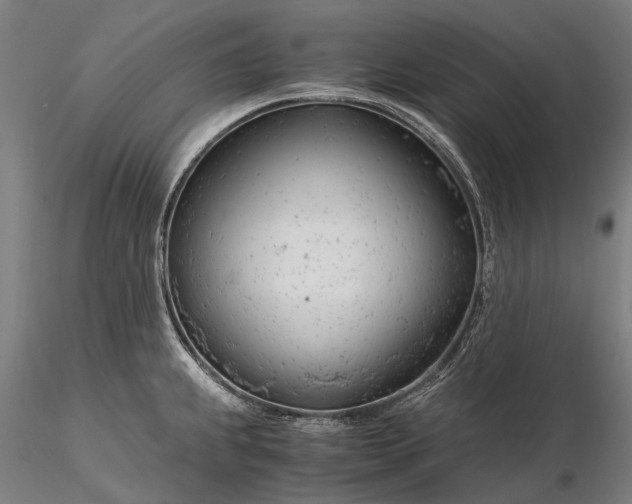 X0000116391239200912161517