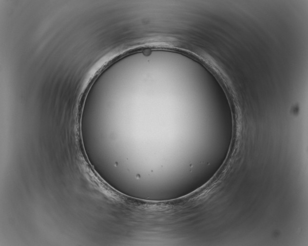 X0000116391240200912161517