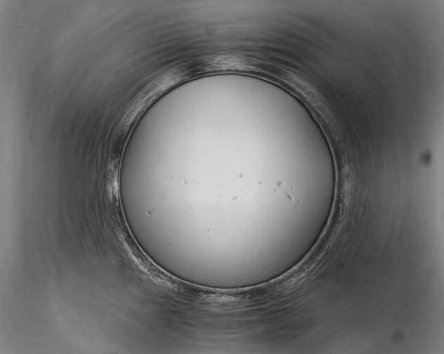 X0000116391241200912161517