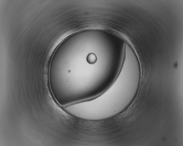 X0000116391243200912161517