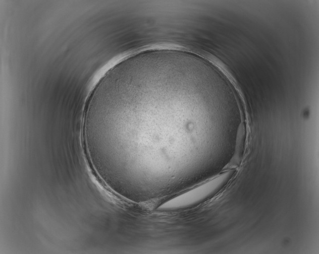 X0000116391245200912161517