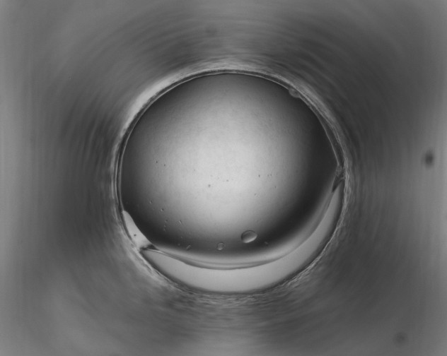 X0000116391246200912161517