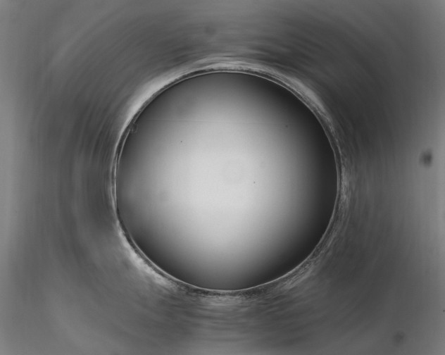 X0000116391247200912161517