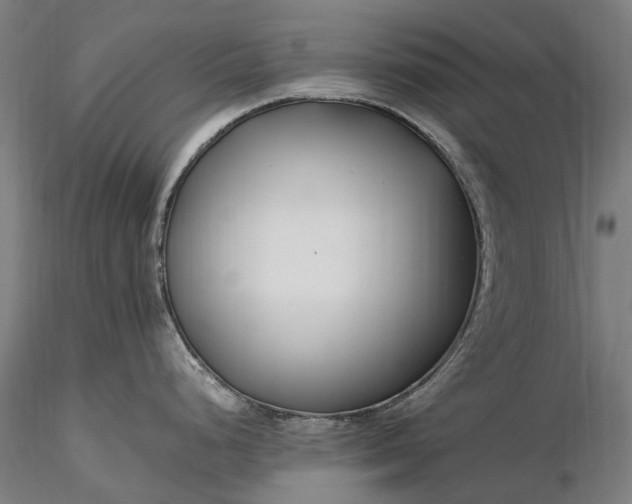 X0000116391248200912161517