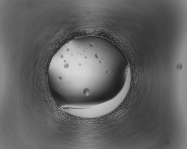 X0000116391249200912161516